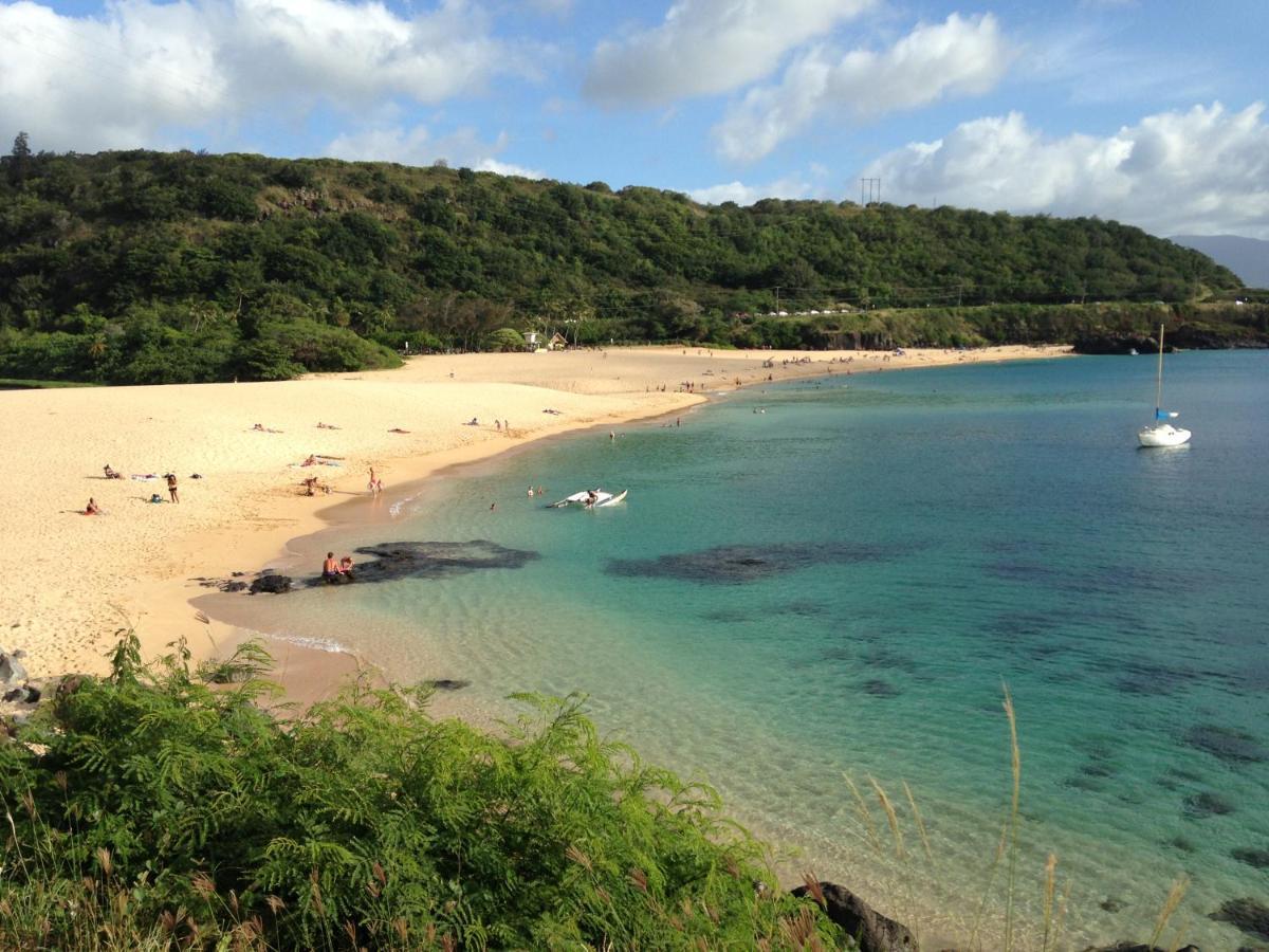 הוילה האלאיווה Waimea Bay Garden Bunglaow מראה חיצוני תמונה