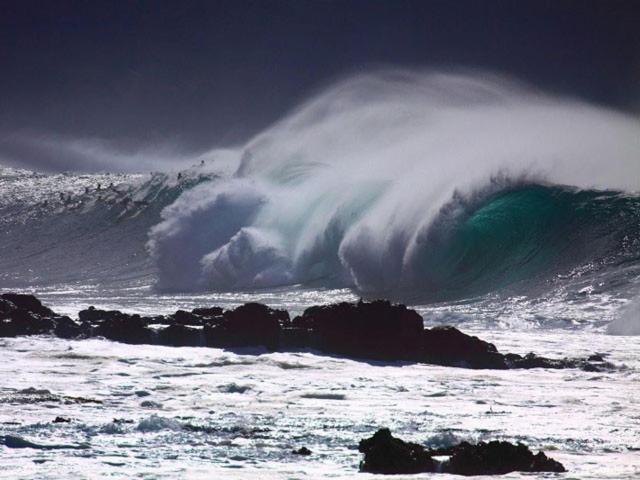 הוילה האלאיווה Waimea Bay Garden Bunglaow מראה חיצוני תמונה