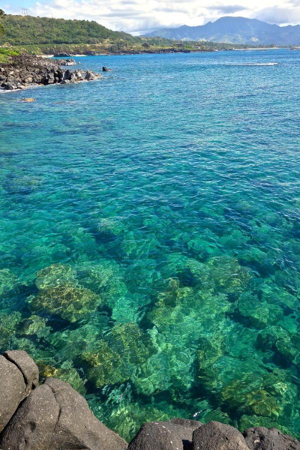 הוילה האלאיווה Waimea Bay Garden Bunglaow מראה חיצוני תמונה